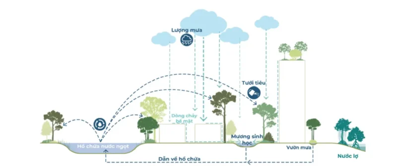Minh họa về hệ thống tuần hoàn nước mưa tại khu đô thị Coastal Quảng Ngãi