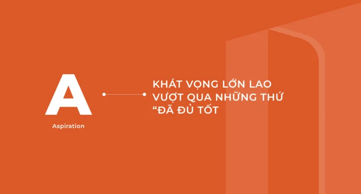 Từ di sản đến cộng đồng - Dự án Coastal Quảng Ngãi 2