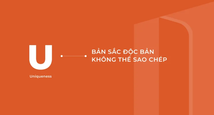 Từ di sản đến cộng đồng - Dự án Coastal Quảng Ngãi 4