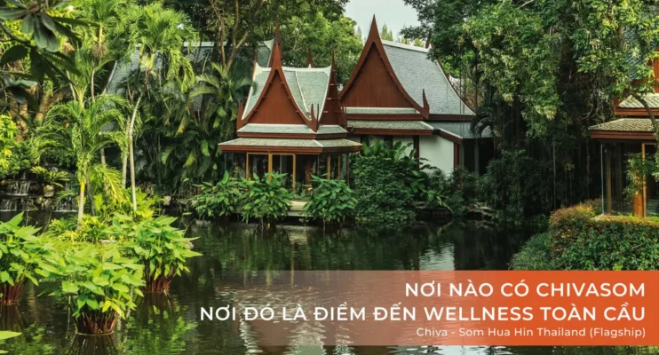 Từ di sản đến cộng đồng - Dự án Coastal Quảng Ngãi - Đối tác chiến lược của Haus 5