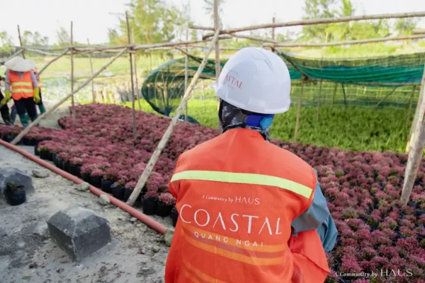 Lý do nên và không nên mua Coastal Quảng Ngãi webp