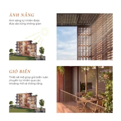 Sự cân bằng giữa ánh nắng và gió biển tại ngôi nhà công viên Coastal Quảng Ngãi