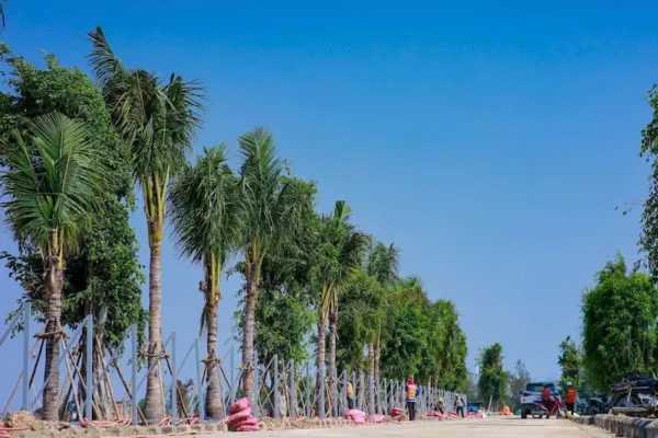 Tiến độ Coastal Quảng Ngãi tháng 3 2026